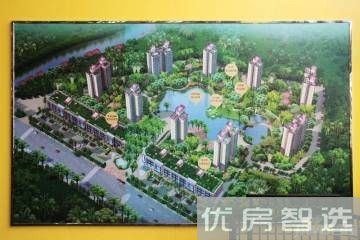 天擎棕榈水城97