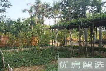天擎棕榈水城97