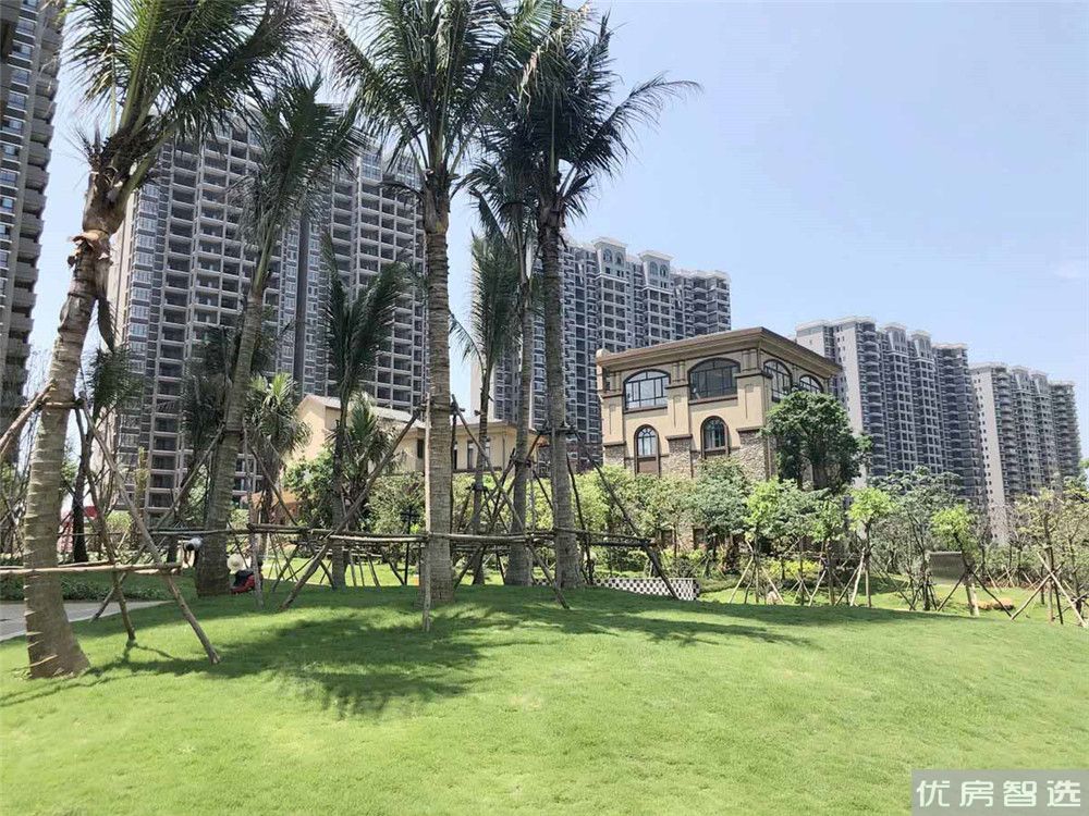 南海之滨97