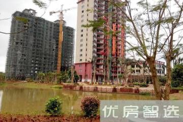 天擎棕榈水城97