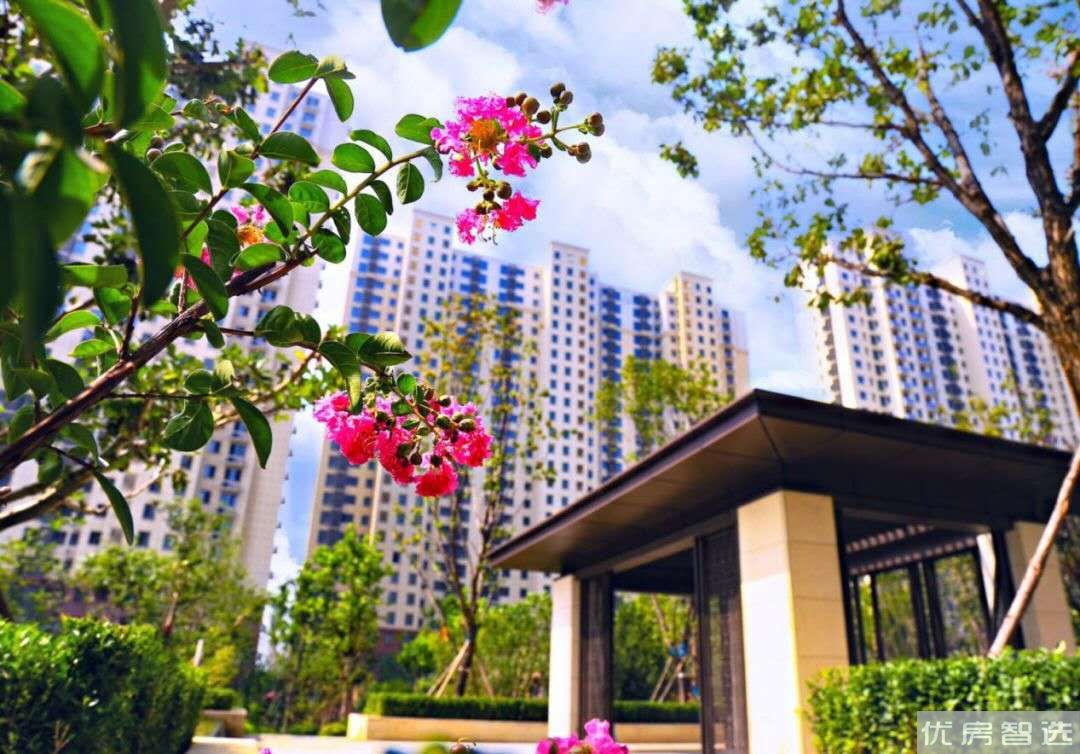 首开住总熙悦安郡97