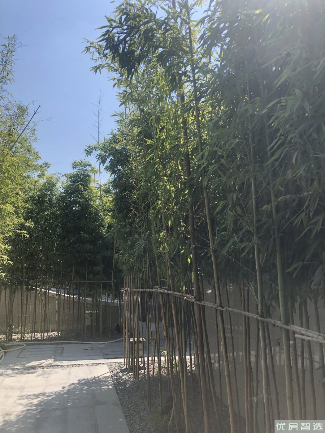禧瑞春秋97