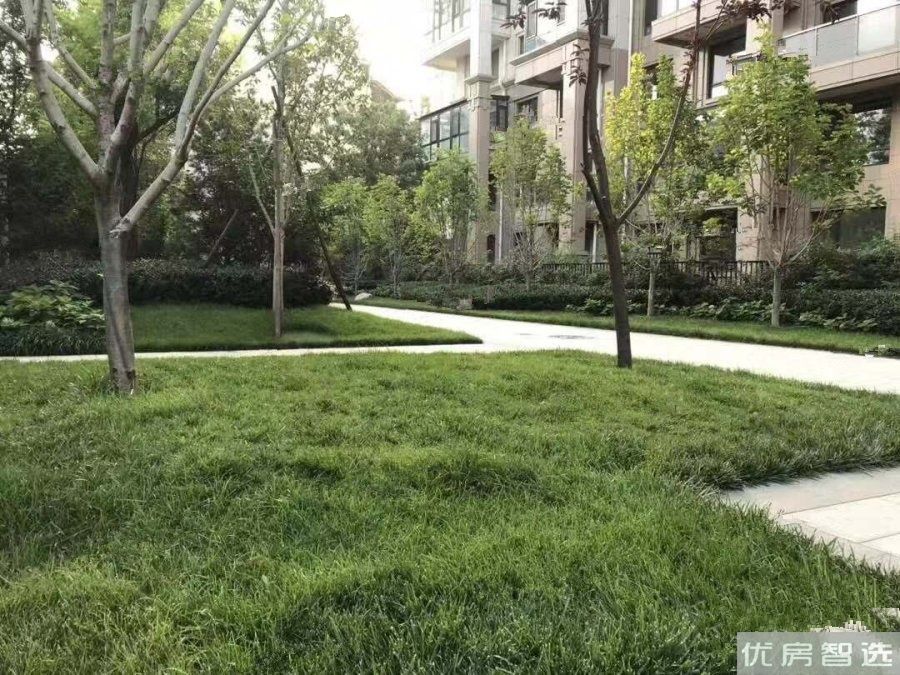 西宸原著97