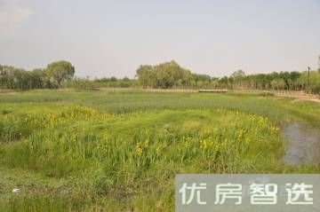 丽都壹号峯境97