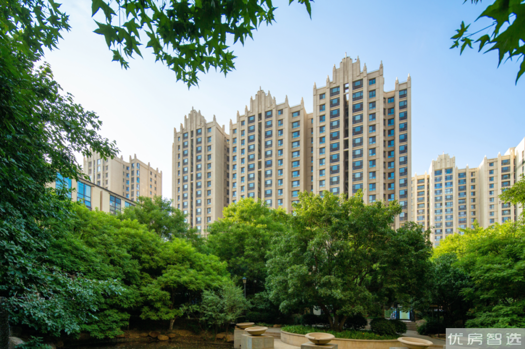 丽都壹号峯境97