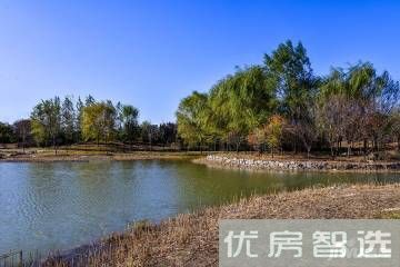 北京城建朝青知筑97