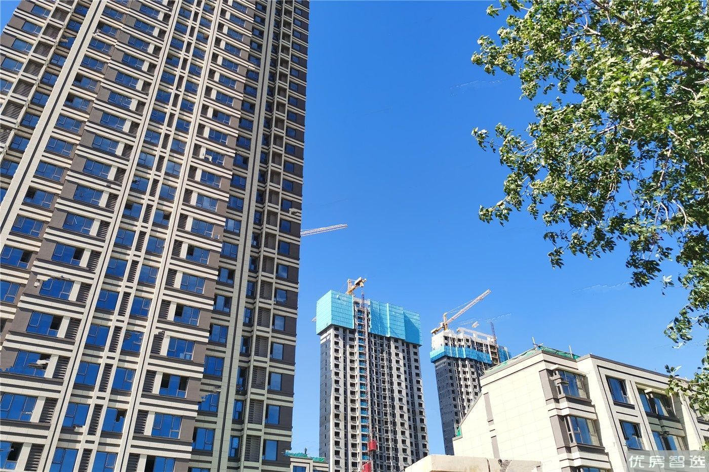 红桥九和府97