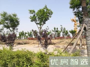 绿城唐山蓝湾小镇