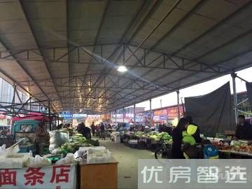 维多利亚上院97
