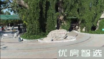 华远中国府97