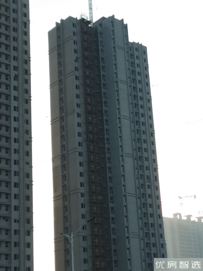 花郡玫瑰园97