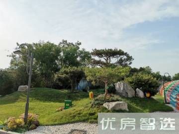 碧桂园悦公馆97