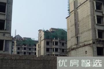 绿荫里97
