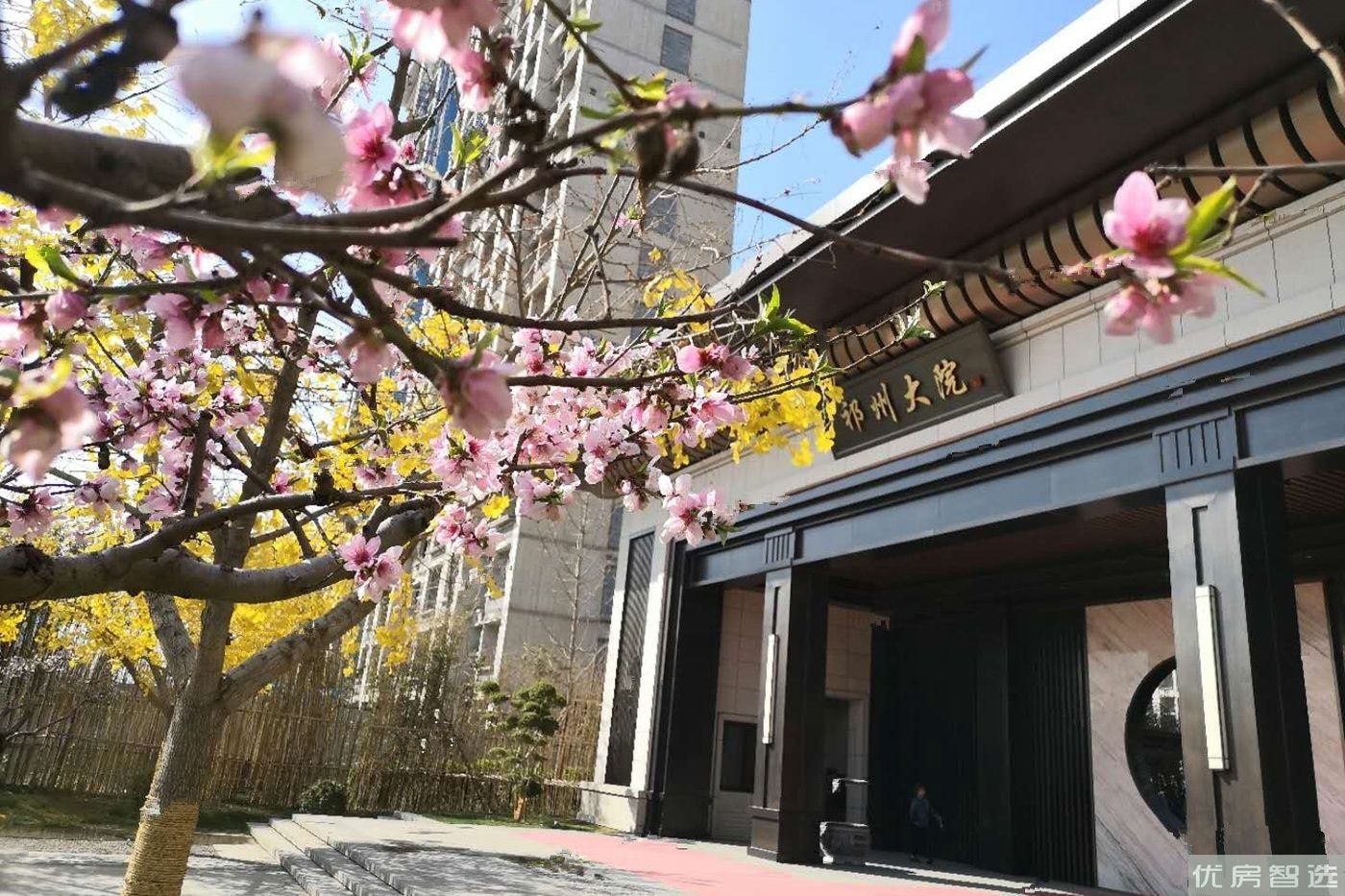 祁州大院97