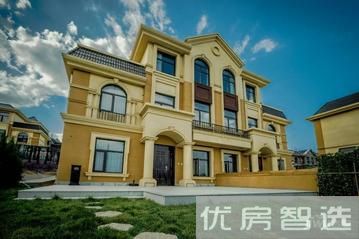 碧桂园丽泽府目前别墅在售