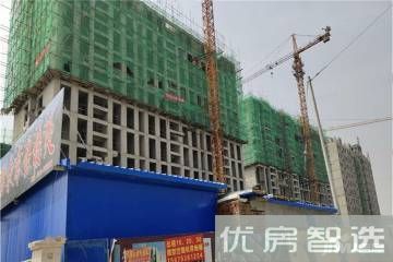 众信首府97