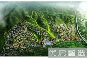汤山树