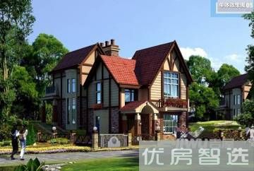 汤山树