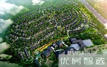 汤山树