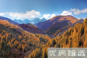 首开住总熙悦安郡，目前在售均价约79800元/平米