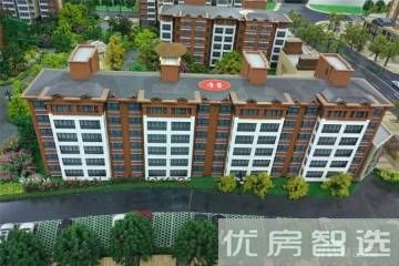 天成绿洲97