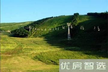 天成绿洲97