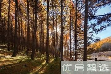 融创崇礼公馆97