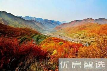 天成绿洲97