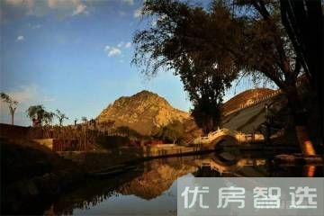 天成绿洲97