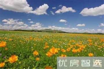 君悦枫景97