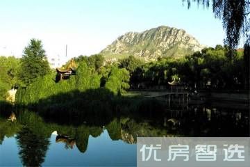 天成绿洲97