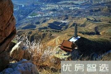 天成绿洲97