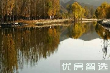 天成绿洲97