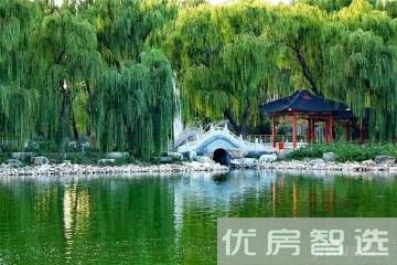 天成绿洲97