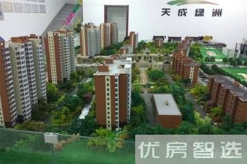 天成绿洲97