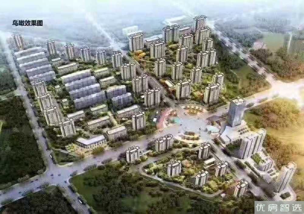 森林雅居97