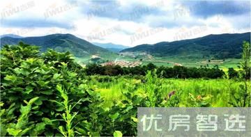 海南民生凤凰城均价为：9800元/平方米