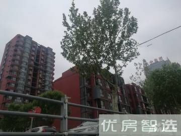 银河颐园97