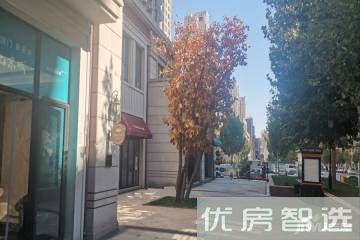 永定河孔雀城英国宫