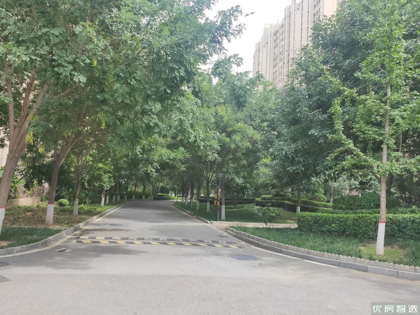 绿宸万华城97