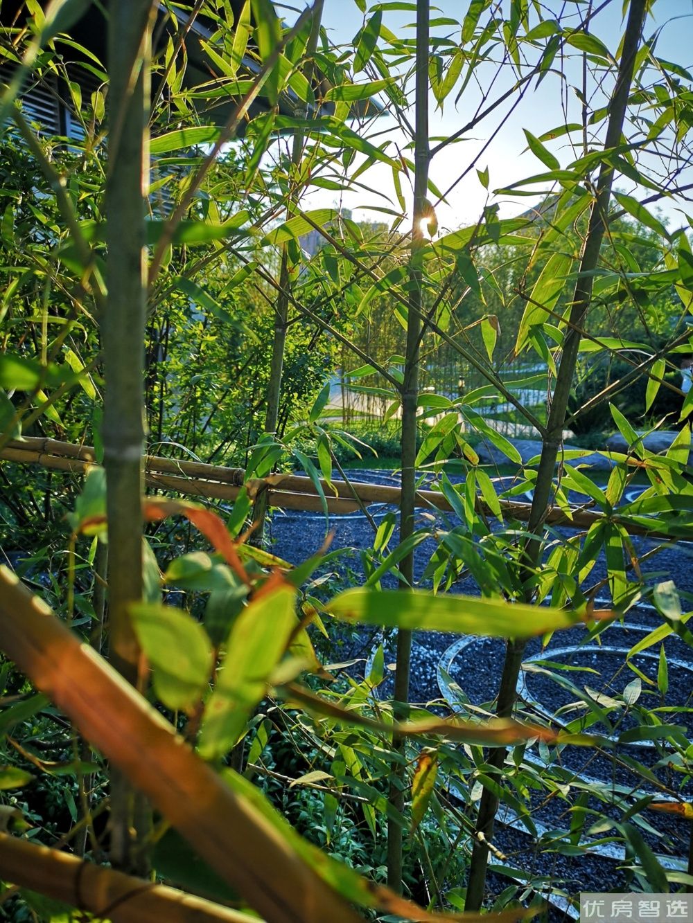 铂悦山97