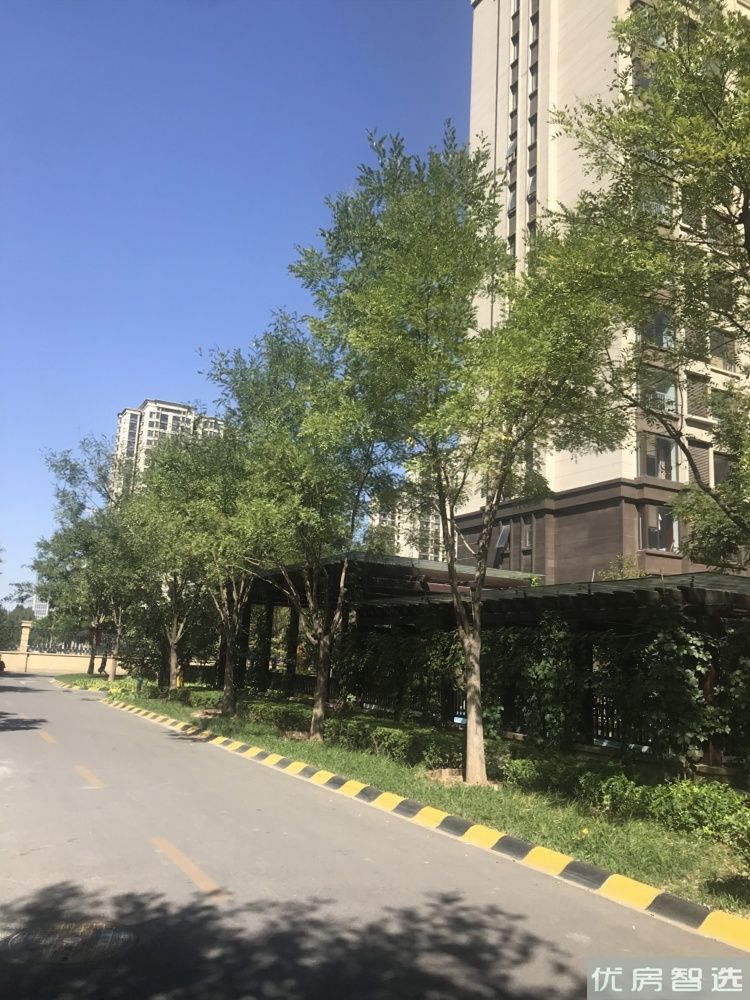 高铁新干线97