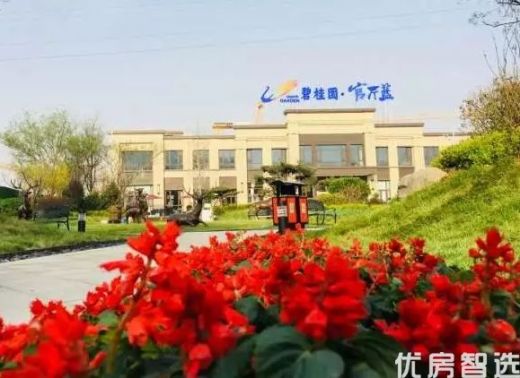 碧桂园官厅蓝现房销售当前在售   精装修洋房107㎡电梯洋房！  精装修三居 特价房源5900元/㎡！