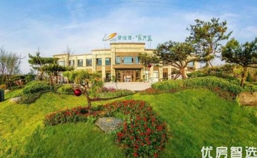 碧桂园官厅蓝现房销售当前在售 洋房产品！     精装修洋房107㎡电梯洋房！     精装修三居 特价房源5900元/㎡！