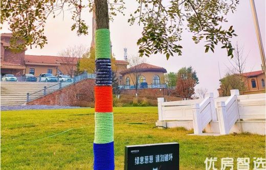 “在小镇，邻居不只是住在隔壁的人，更是可以分享生活的朋友；员工和业主也不那么生分，更像是并肩前行的家人”。今天被“为树织衣”的阿姨们感动了，每一个人都眯着眼睛‘创作’，舞动手指‘彩绘’着我们的家园！！！